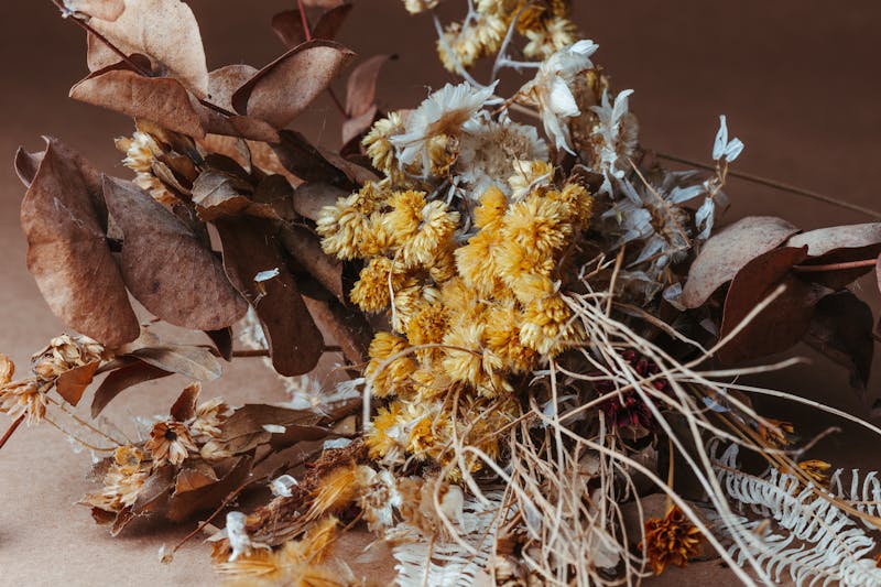 Offre spéciale fête des mères